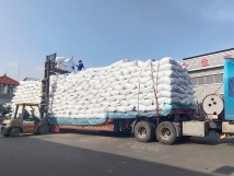 把握機(jī)遇、鉚足干勁、承勢(shì)而上